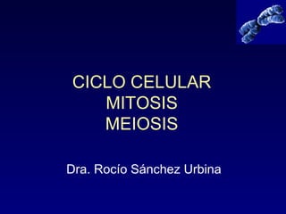 CICLO CELULAR
MITOSIS
MEIOSIS
Dra. Rocío Sánchez Urbina
 