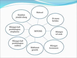 MMITOSIS 
Kejadian 
pindah silang 
Bilangan kali 
pembahagian 
sitoplasma 
Maksud 
Di mana 
berlaku 
Maklumat 
genetik 
Bilangan kali 
pembahagian 
nukleus 
Bilangan 
sel anak 
Bilangan 
kromosom 
 