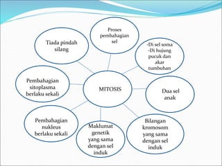 MMITOSIS 
Tiada pindah 
silang 
Pembahagian 
sitoplasma 
berlaku sekali 
Proses 
pembahagian 
sel 
-Di sel soma 
-Di hujung 
pucuk dan 
akar 
tumbuhan 
Maklumat 
genetik 
yang sama 
dengan sel 
induk 
Pembahagian 
nukleus 
berlaku sekali 
Dua sel 
anak 
Bilangan 
kromosom 
yang sama 
dengan sel 
induk 
 
