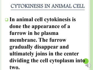 CYTOKINESIS IN ANIMAL CELL 
 In animal cell cytokinesis is 
done the appearance of a 
furrow in he plasma 
membrane. The furrow 
gradually disappear and 
ultimately joins in the center 
dividing the cell cytoplasm into 
two. 
 