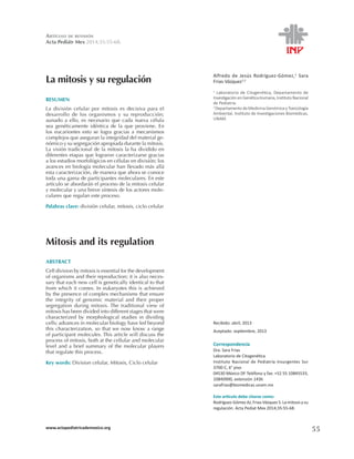 ARTÍCULO DE REVISIÓN 
Acta Pediátr Mex ! 
La mitosis y su regulación ůĨƌĞĚŽ ĚĞ :ĞƐƷƐ ZŽĚƌşŐƵĞǌͲ'ſŵĞǌ͕1 Sara 
ƌŝĂƐͲsĄǌƋƵĞǌ1,2 
1 ĂďŽƌĂƚŽƌŝŽ ĚĞ ŝƚŽŐĞŶĠƟĐĂ͕ ĞƉĂƌƚĂŵĞŶƚŽ ĚĞ 
/ŶǀĞƐƟŐĂĐŝſŶĞŶ'ĞŶĠƟĐĂ,ƵŵĂŶĂ͕/ŶƐƟƚƵƚŽEĂĐŝŽŶĂů 
ĚĞWĞĚŝĂƚƌşĂ͘ 
2 ĞƉĂƌƚĂŵĞŶƚŽĚĞDĞĚŝĐŝŶĂ'ĞŶſŵŝĐĂǇdŽǆŝĐŽůŽŐşĂ 
ŵďŝĞŶƚĂů͕/ŶƐƟƚƵƚŽĚĞ/ŶǀĞƐƟŐĂĐŝŽŶĞƐŝŽŵĠĚŝĐĂƐ͕ 
UNAM. 
ZĞĐŝďŝĚŽ͗Ăďƌŝů͕ϮϬϭϯ 
ĐĞƉƚĂĚŽ͗ƐĞƉƟĞŵďƌĞ͕ϮϬϭϯ 
Correspondencia 
Dra. Sara Frias 
ĂďŽƌĂƚŽƌŝŽĚĞŝƚŽŐĞŶĠƟĐĂ 
/ŶƐƚŝƚƵƚŽ EĂĐŝŽŶĂů ĚĞ WĞĚŝĂƚƌşĂ /ŶƐƵƌŐĞŶƚĞƐ ^Ƶƌ 
ϯϳϬϬͲ͕ϲΣƉŝƐŽ 
ϬϰϱϯϬDĠǆŝĐŽdĞůĠĨŽŶŽǇĨĂǆ͗нϱϮϱϱϭϬϴϰϱϱϯϯ͕ 
ϭϬϴϰϬϵϬϬ͕ĞǆƚĞŶƐŝſŶϭϰϯϲ 
sarafrias@biomedicas.unam.mx 
ƐƚĞĂƌơĐƵůŽĚĞďĞĐŝƚĂƌƐĞĐŽŵŽ͗ 
ZŽĚƌşŐƵĞǌͲ'ſŵĞǌ:͕ƌŝĂƐͲsĄǌƋƵĞǌ^͘ĂŵŝƚŽƐŝƐǇƐƵ 
ƌĞŐƵůĂĐŝſŶ͘ĐƚĂWĞĚŝĂƚDĞǆϮϬϭϰ͖ϯϱ͗ϱϱͲϲϴ͘ 
RESUMEN 
3H KP]PZP}U JLSSHY WVY TP[VZPZ LZ KLJPZP]H WHYH LS 
KLZHYYVSSV KL SVZ VYNHUPZTVZ ` Z YLWYVKJJP}U 
HUHKV H LSSV LZ ULJLZHYPV XL JHKH UL]H JtSSH 
ZLH NLUt[PJHTLU[L PKtU[PJH KL SH XL WYV]PLUL ,U 
SVZ LJHYPVU[LZ LZ[V ZL SVNYH NYHJPHZ H TLJHUPZTVZ 
JVTWSLQVZXLHZLNYHUSHPU[LNYPKHKKLSTH[LYPHSNL- 
U}TPJV`ZZLNYLNHJP}UHWYVWPHKHKYHU[LSHTP[VZPZ 
3H]PZP}U[YHKPJPVUHSKLSHTP[VZPZSHOHKP]PKPKVLU 
KPMLYLU[LZL[HWHZXLSVNYHYVUJHYHJ[LYPaHYZLNYHJPHZ 
HSVZLZ[KPVZTVYMVS}NPJVZLUJtSSHZLUKP]PZP}USVZ 
H]HUJLZLUIPVSVNxHTVSLJSHYOHUSSL]HKVTmZHSSm 
LZ[HJHYHJ[LYPaHJP}UKLTHULYHXLHOVYHZLJVUVJL 
[VKHUHNHTHKLWHY[PJPWHU[LZTVSLJSHYLZ,ULZ[L 
HY[xJSVZLHIVYKHYmULSWYVJLZVKLSHTP[VZPZJLSSHY 
`TVSLJSHY`UHIYL]LZxU[LZPZKLSVZHJ[VYLZTVSL- 
JSHYLZXLYLNSHULZ[LWYVJLZV 
Palabras clave:KP]PZP}UJLSSHYTP[VZPZJPJSVJLSSHY 
Mitosis and its regulation 
ABSTRACT 
*LSSKP]PZPVUI`TP[VZPZPZLZZLU[PHSMVY[OLKL]LSVWTLU[ 
VMVYNHUPZTZHUK[OLPYYLWYVKJ[PVUP[PZHSZVULJLZ- 
ZHY`[OH[LHJOUL^JLSSPZNLUL[PJHSS`PKLU[PJHS[V[OH[ 
MYVT ^OPJO P[ JVTLZ 0U LRHY`V[LZ [OPZ PZ HJOPL]LK 
I`[OLWYLZLUJLVMJVTWSL_TLJOHUPZTZ[OH[LUZYL 
[OL PU[LNYP[` VM NLUVTPJ TH[LYPHS HUK [OLPY WYVWLY 
ZLNYLNH[PVU KYPUN TP[VZPZ;OL [YHKP[PVUHS ]PL^ VM 
TP[VZPZOHZILLUKP]PKLKPU[VKPMMLYLU[Z[HNLZ[OH[^LYL 
JOHYHJ[LYPaLK I` TVYWOVSVNPJHS Z[KPLZ PU KP]PKPUN 
JLSSZHK]HUJLZPUTVSLJSHYIPVSVN`OH]LSLKIL`VUK 
[OPZ JOHYHJ[LYPaH[PVU ZV [OH[ ^L UV^ RUV^ H YHUNL 
VMWHY[PJPWHU[TVSLJSLZ;OPZHY[PJSL^PSSKPZJZZ[OL 
WYVJLZZVMTP[VZPZIV[OH[[OLJLSSSHYHUKTVSLJSHY 
SL]LS HUK H IYPLM ZTTHY` VM [OL TVSLJSHY WSH`LYZ 
[OH[YLNSH[L[OPZWYVJLZZ 
Key words: +P]PZPVUJLSSHY4P[VZPZ*PJSVJLSSHY 
www.actapediatricademexico.org 55 
 