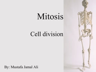 Mitosis
Cell division
By: Mustafa Jamal Ali
 