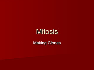 MitosisMitosis
Making ClonesMaking Clones
 