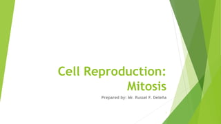 Cell Reproduction:
Mitosis
Prepared by: Mr. Russel F. Deleña
1
 