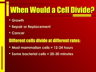 When Would a Cell Divide?When Would a Cell Divide?
 Growth
 Repair or Replacement
 Cancer
Different cells divide at different rates:
 Most mammalian cells = 12-24 hours
 Some bacterial cells = 20-30 minutes
 