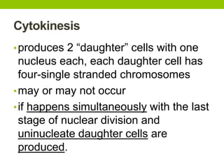 Cytokinesis
•produces 2 “daughter” cells with one
nucleus each, each daughter cell has
four-single stranded chromosomes
•may or may not occur
•if happens simultaneously with the last
stage of nuclear division and
uninucleate daughter cells are
produced.
 