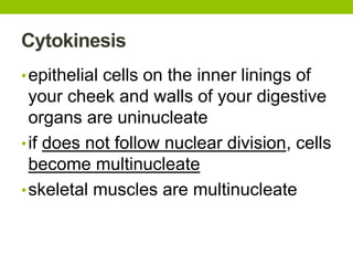 Cytokinesis
•epithelial cells on the inner linings of
your cheek and walls of your digestive
organs are uninucleate
•if does not follow nuclear division, cells
become multinucleate
•skeletal muscles are multinucleate
 