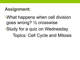 Assignment:
•What happens when cell division
goes wrong? ½ crosswise
•Study for a quiz on Wednesday.
Topics: Cell Cycle and Mitosis
 