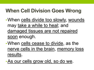 When Cell Division Goes Wrong
•When cells divide too slowly, wounds
may take a while to heal; and
damaged tissues are not repaired
soon enough.
•When cells cease to divide, as the
nerve cells in the brain, memory loss
results.
•As our cells grow old, so do we.
 