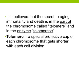 •It is believed that the secret to aging,
immortality and death is in the part of
the chromosome called “telomere” and
in the enzyme “telomerase”.
•Telomere – a special protective cap of
each chromosome that gets shorter
with each cell division.
 
