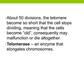 •About 50 divisions, the telomere
become so short that the cell stops
dividing, meaning that the cells
become “old”, consequently may
malfunction or die altogether.
•Telomerase – an enzyme that
elongates chromosomes.
 