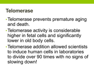 Telomerase
•Telomerase prevents premature aging
and death.
•Telomerase activity is considerable
higher in fetal cells and significantly
lower in old body cells.
•Telomerase addition allowed scientists
to induce human cells in laboratories
to divide over 90 times with no signs of
slowing down!
 