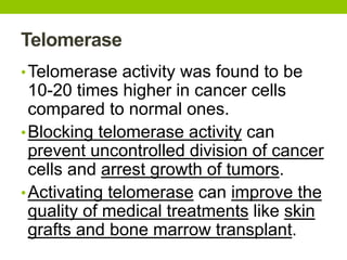 Telomerase
•Telomerase activity was found to be
10-20 times higher in cancer cells
compared to normal ones.
•Blocking telomerase activity can
prevent uncontrolled division of cancer
cells and arrest growth of tumors.
•Activating telomerase can improve the
quality of medical treatments like skin
grafts and bone marrow transplant.
 