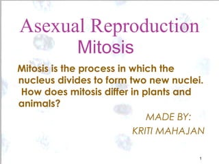 1 1
Asexual Reproduction
Mitosis
Mitosis is the process in which the
nucleus divides to form two new nuclei.
How does mitosis differ in plants and
animals?
MADE BY:
KRITI MAHAJAN
 