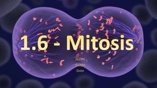 Mitosis