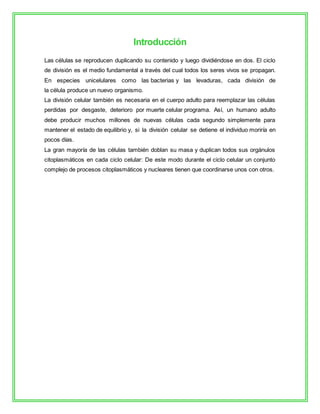 Introducción
Las células se reproducen duplicando su contenido y luego dividiéndose en dos. El ciclo
de división es el medio fundamental a través del cual todos los seres vivos se propagan.
En especies unicelulares como las bacterias y las levaduras, cada división de
la célula produce un nuevo organismo.
La división celular también es necesaria en el cuerpo adulto para reemplazar las células
perdidas por desgaste, deterioro por muerte celular programa. Así, un humano adulto
debe producir muchos millones de nuevas células cada segundo simplemente para
mantener el estado de equilibrio y, si la división celular se detiene el individuo moriría en
pocos días.
La gran mayoría de las células también doblan su masa y duplican todos sus orgánulos
citoplasmáticos en cada ciclo celular: De este modo durante el ciclo celular un conjunto
complejo de procesos citoplasmáticos y nucleares tienen que coordinarse unos con otros.
 