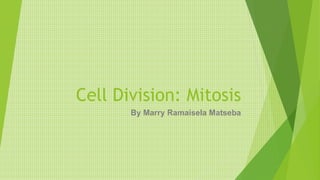 Cell Division: Mitosis
By Marry Ramaisela Matseba
 