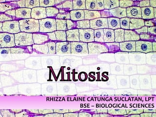 RHIZZA ELAINE CATUNGA SUCLATAN, LPT
BSE – BIOLOGICAL SCIENCES
 