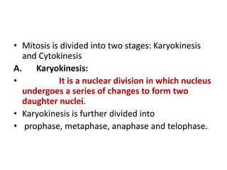 • Mitosis is divided into two stages: Karyokinesis
and Cytokinesis
A. Karyokinesis:
• It is a nuclear division in which nucleus
undergoes a series of changes to form two
daughter nuclei.
• Karyokinesis is further divided into
• prophase, metaphase, anaphase and telophase.
 