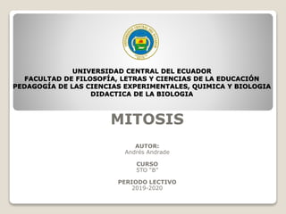 UNIVERSIDAD CENTRAL DEL ECUADOR
FACULTAD DE FILOSOFÍA, LETRAS Y CIENCIAS DE LA EDUCACIÓN
PEDAGOGÍA DE LAS CIENCIAS EXPERIMENTALES, QUIMICA Y BIOLOGIA
DIDACTICA DE LA BIOLOGIA
MITOSIS
AUTOR:
Andrés Andrade
CURSO
5TO “B”
PERIODO LECTIVO
2019-2020
 