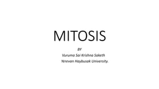 MITOSIS
BY
Vuruma Sai Krishna Saketh
Yerevan Haybusak University.
 