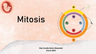 Mitosis
Díaz Zumba Kevin Alexander
Enero 2023
 