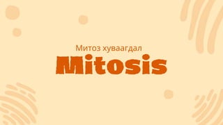 Mitosis
Митоз хуваагдал
 