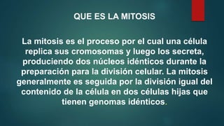 La mitosis es el proceso por el cual una célula
replica sus cromosomas y luego los secreta,
produciendo dos núcleos idénticos durante la
preparación para la división celular. La mitosis
generalmente es seguida por la división igual del
contenido de la célula en dos células hijas que
tienen genomas idénticos.
QUE ES LA MITOSIS
 