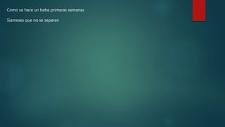 Como se hace un bebe primeras semanas
Siameses que no se separan
 
