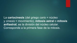 La cariocinesis (del griego cario = núcleo
y cinesis = movimiento), mitosis astral o mitosis
anfiastral, es la división del núcleo celular.
Corresponde a la primera fase de la mitosis.
 