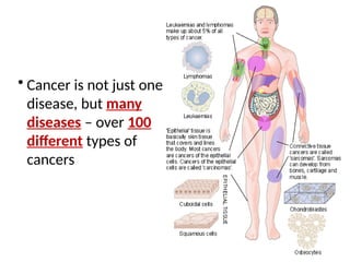 • Cancer is not just one
disease, but many
diseases – over 100
different types of
cancers
 
