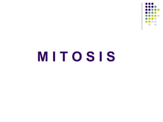 MITOSIS
 