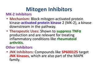 Mk2 Inhibitor mitosis- Cell cycle and their check points | PDF