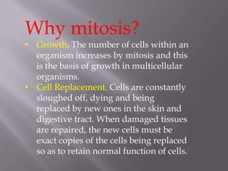 Why mitosis?
• Growth. The number of cells within an
  organism increases by mitosis and this
  is the basis of growth in multicellular
  organisms.
• Cell Replacement. Cells are constantly
  sloughed off, dying and being
  replaced by new ones in the skin and
  digestive tract. When damaged tissues
  are repaired, the new cells must be
  exact copies of the cells being replaced
  so as to retain normal function of cells.
 