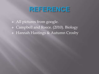    All pictures from google.
   Campbell and Reece. (2010). Biology
   Hannah Hastings & Autumn Crosby
 