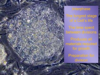 Interphase
The longest stage
  of a Cell’s life
 The time spent
between divisions
  Produces all
materials required
   for growth
 Preparation for
    division
 