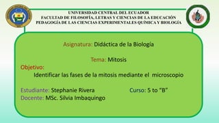 UNIVERSIDAD CENTRAL DEL ECUADOR
FACULTAD DE FILOSOFÍA, LETRAS Y CIENCIAS DE LA EDUCACIÓN
PEDAGOGÍA DE LAS CIENCIAS EXPERIMENTALES QUÍMICA Y BIOLOGÍA
Asignatura: Didáctica de la Biología
Tema: Mitosis
Objetivo:
Identificar las fases de la mitosis mediante el microscopio
Estudiante: Stephanie Rivera Curso: 5 to “B”
Docente: MSc. Silvia Imbaquingo
 