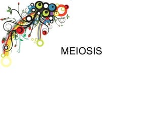 MEIOSIS 