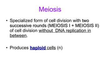 Meiosis Specialized form of cell division with  two successive rounds (MEIOSIS I + MEIOSIS II)  of cell division  without  DNA replication in between . Produces  haploid  cells  (n) 