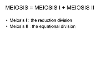 MEIOSIS = MEIOSIS I + MEIOSIS II Meiosis I : the reduction division Meiosis II : the equational division 