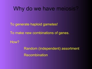 Why do we have meiosis? To generate haploid gametes! To make new combinations of genes. How? Random (independent) assortment Recombination   