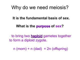 Why do we need meiosis? -  to bring two  haploid  gametes together to form a diploid zygote. n (mom) + n (dad)  = 2n (offspring) It is the fundamental basis of sex. What is the  purpose  of  sex ?   