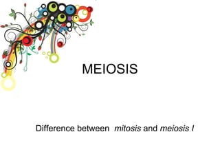 MEIOSIS Difference between  mitosis  and  meiosis I 