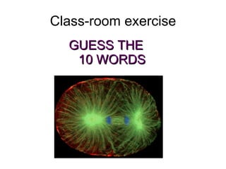 Class-room exercise GUESS THE  10 WORDS 