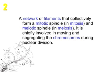 A  network  of  filaments  that collectively form a  mitotic   spindle  (in  mitosis ) and  meiotic   spindle  (in  meiosis ). It is chiefly involved in moving and segregating the  chromosomes  during nuclear division. 2 