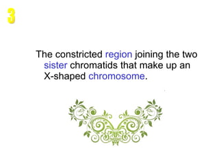 The constricted  region  joining the two  sister   chromatids  that make up an X-shaped  chromosome .  3 