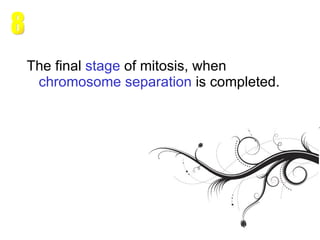 The final  stage  of mitosis, when  chromosome   separation  is completed.   8 
