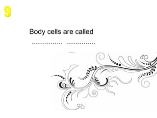 Body cells are called  ................  ............... 9 