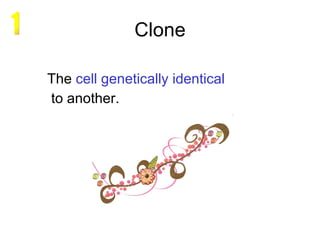 Clone The  cell   genetically   identical   to another. 1 