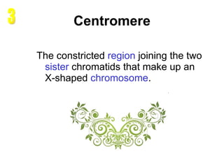 Centromere The constricted  region  joining the two  sister   chromatids  that make up an X-shaped  chromosome .  3 